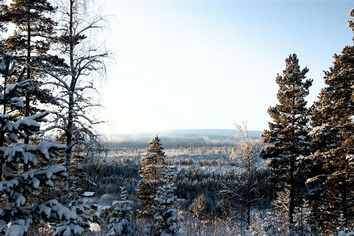 Sälen - Populär fjälldestination Sälen fjällby med skidbackar och vinterlandskap
